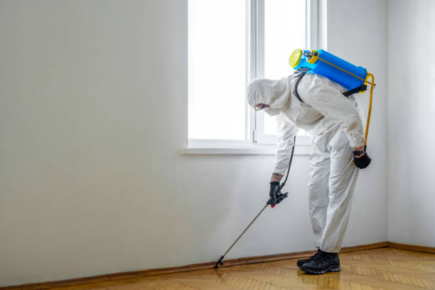 Best Termite Inspection and Treatment  in Georgetown, PA